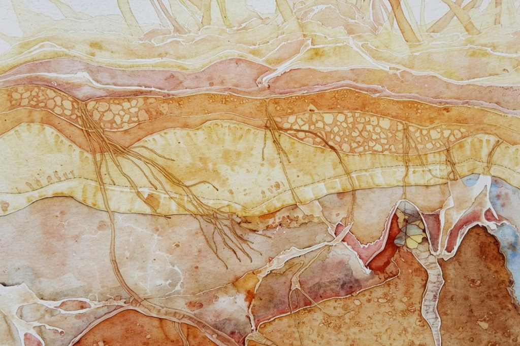 Abstract illustration representing skin layers and collagen remodeling during plasma skin regeneration treatments.